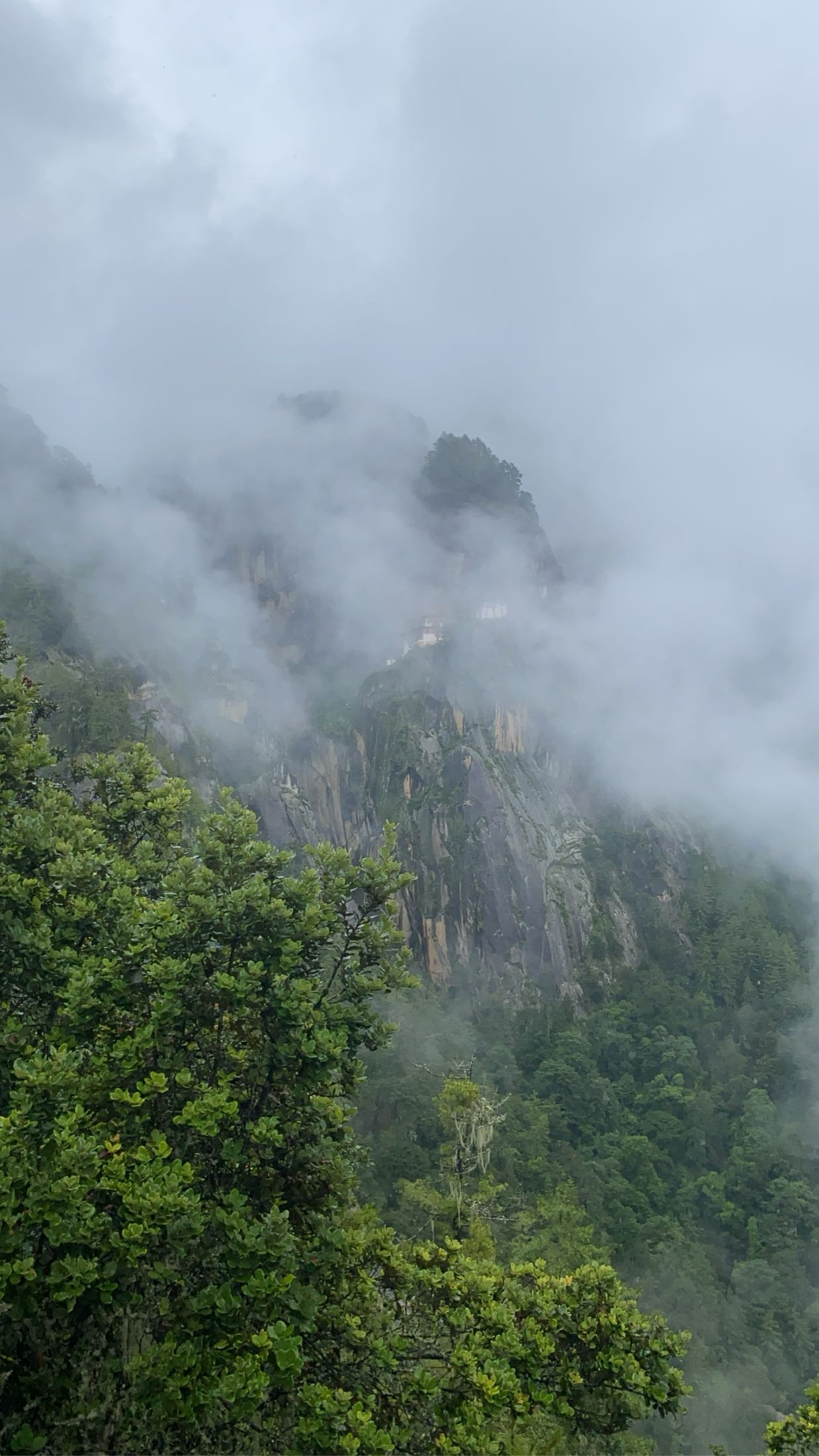 A Trip with Mystique Bhutan Travels
