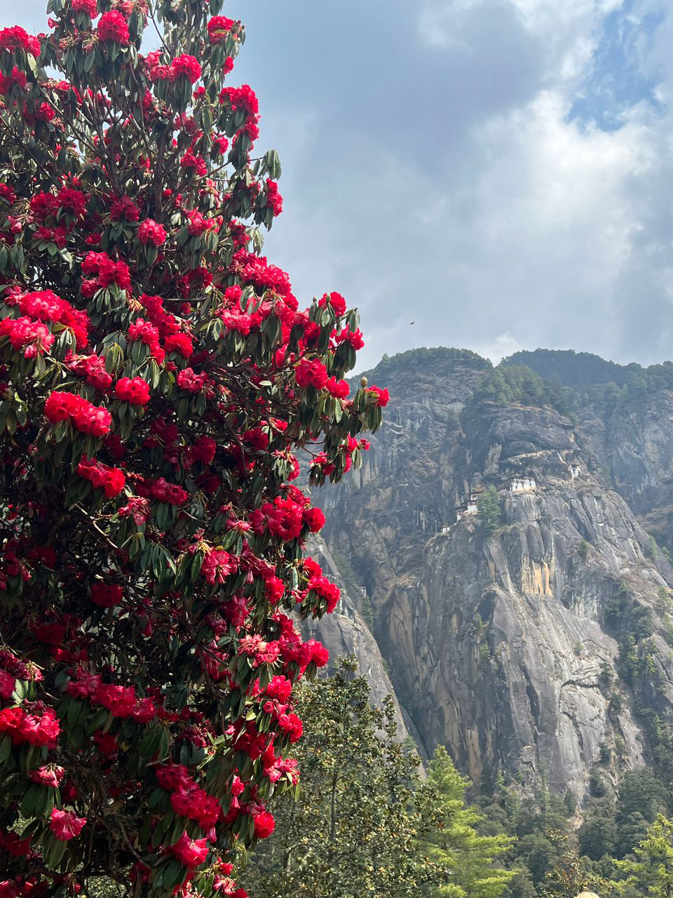A Trip with Mystique Bhutan Travels