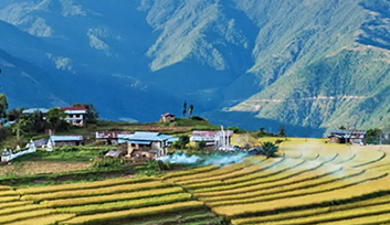 Terrace Farming