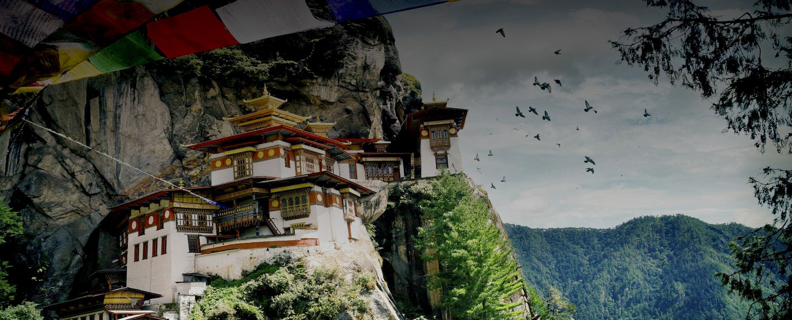 Slider Image 2